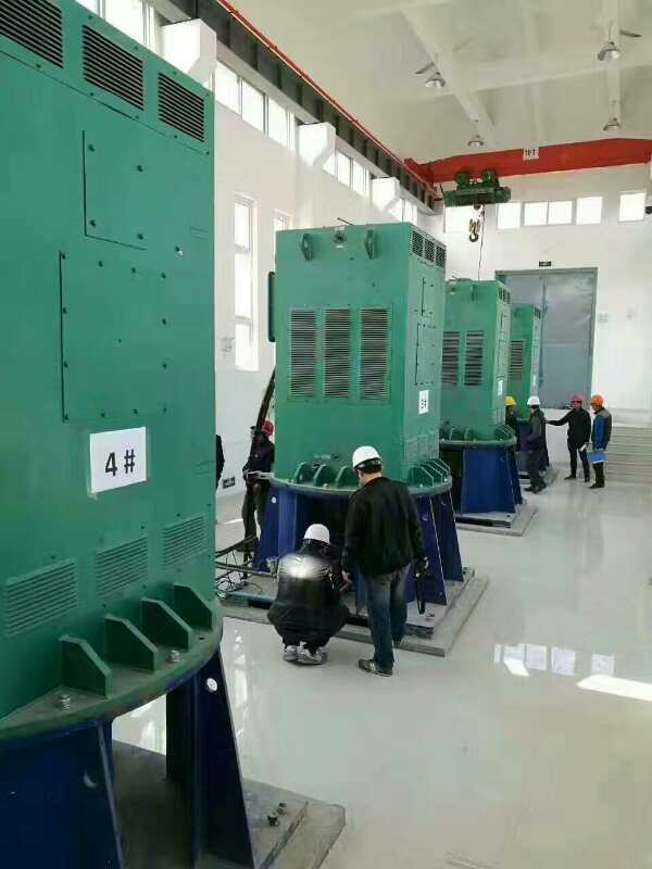 容县某污水处理厂使用我厂的立式高压电机安装现场
